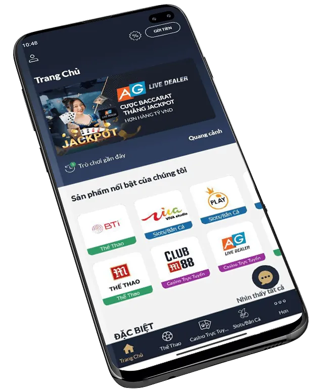 Đá Gà Quốc Tế tại HL8